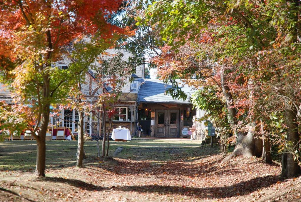 南阿苏村 南阿苏月神天文台/森林画室旅馆酒店 外观 照片