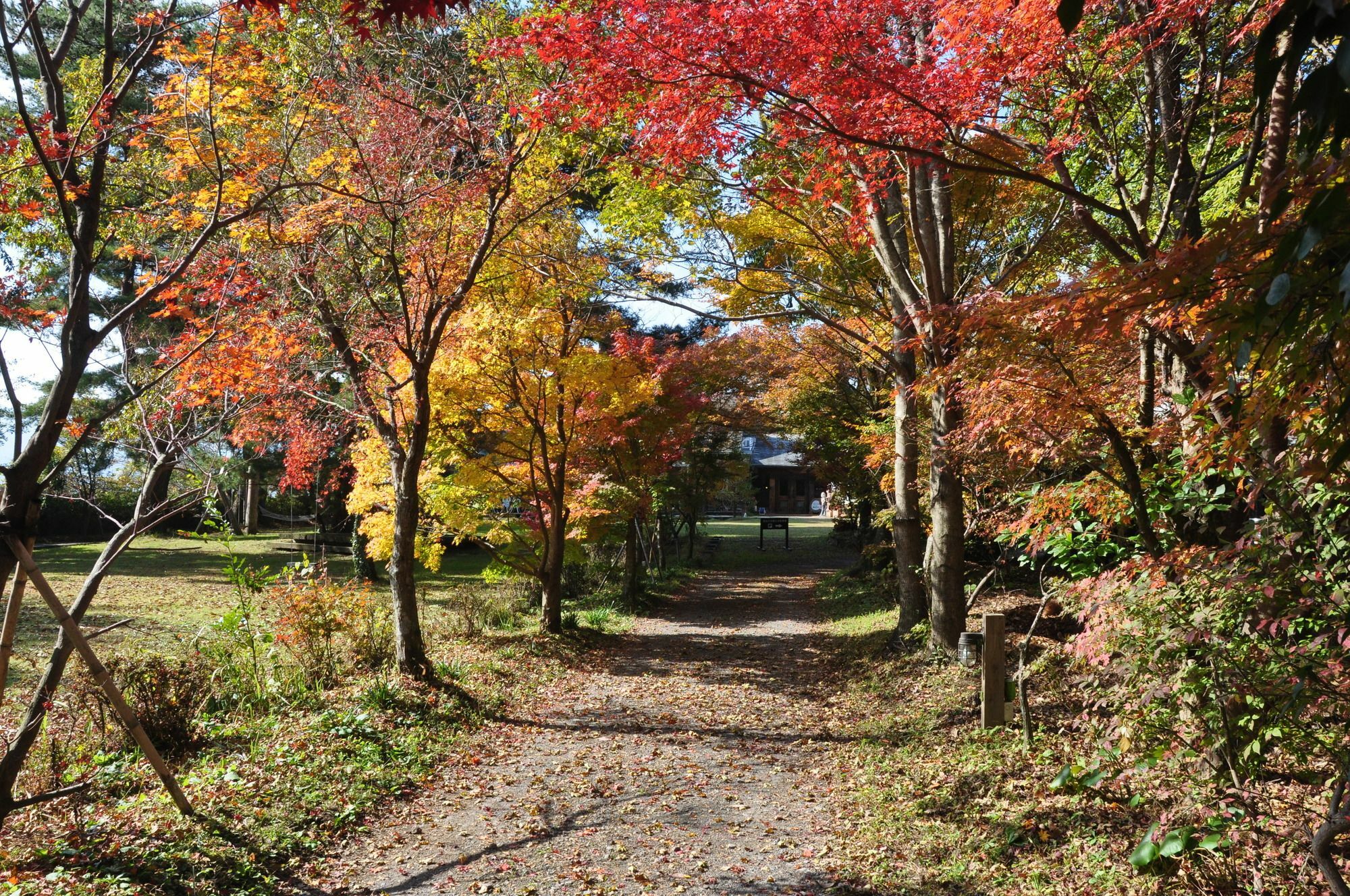 南阿苏村 南阿苏月神天文台/森林画室旅馆酒店 外观 照片